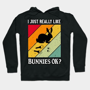 I Just Really Like Bunnies Vintage cute retro pet gift Hoodie